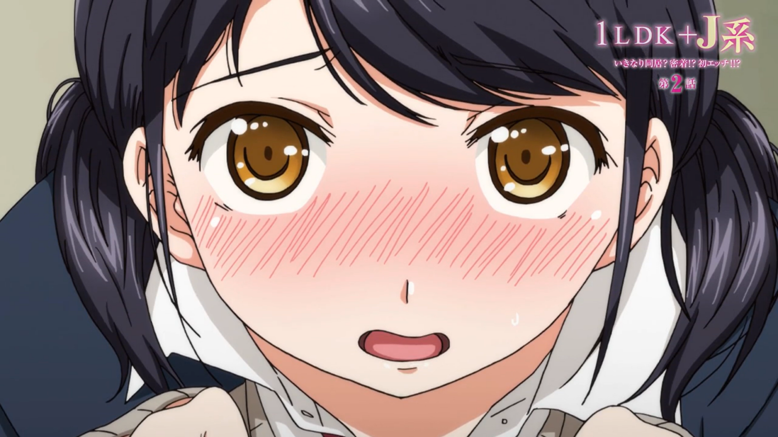 1LDK+JK 3rd OVA Release Date Delayed