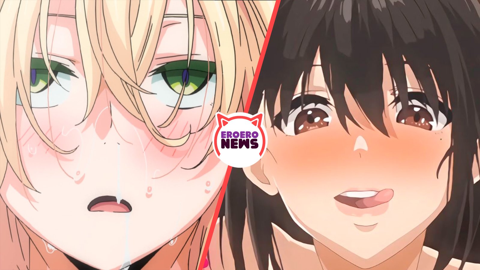 Pink Pineapple Announces Two Rereleases with English Subtitles for May!