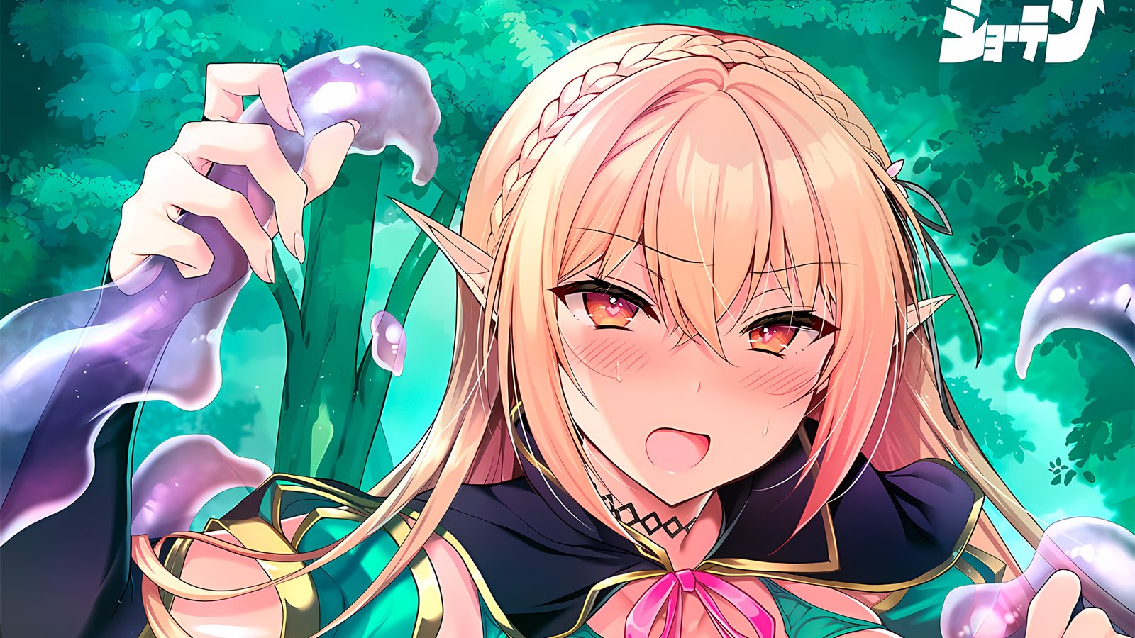 Elf ni Inmon o Tsukeru Hon Doujinshi to Receive Anime Adaptation!