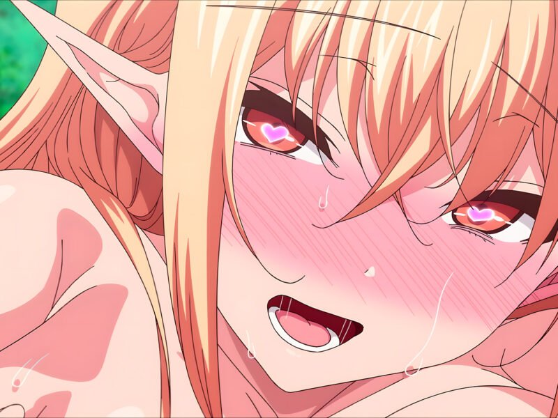 Elf ni Inmon o Tsukeru Hon OVA 2 Trailer Surfaces Ahead of Official Release