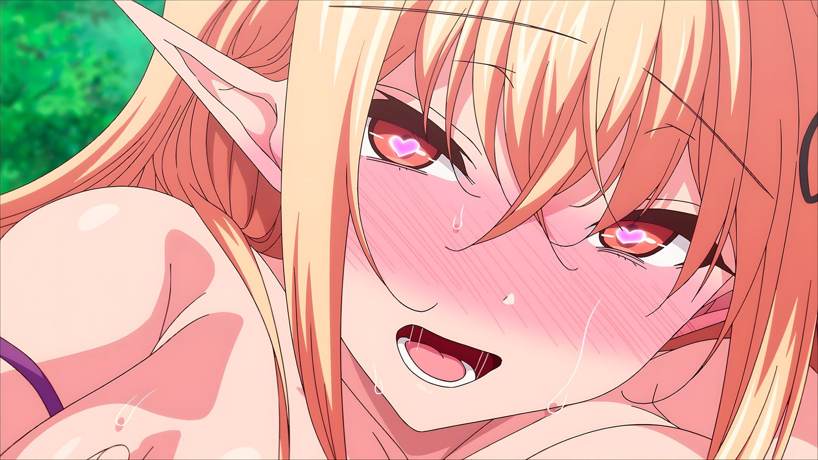 Elf ni Inmon o Tsukeru Hon OVA 2 Trailer Surfaces Ahead of Official Release