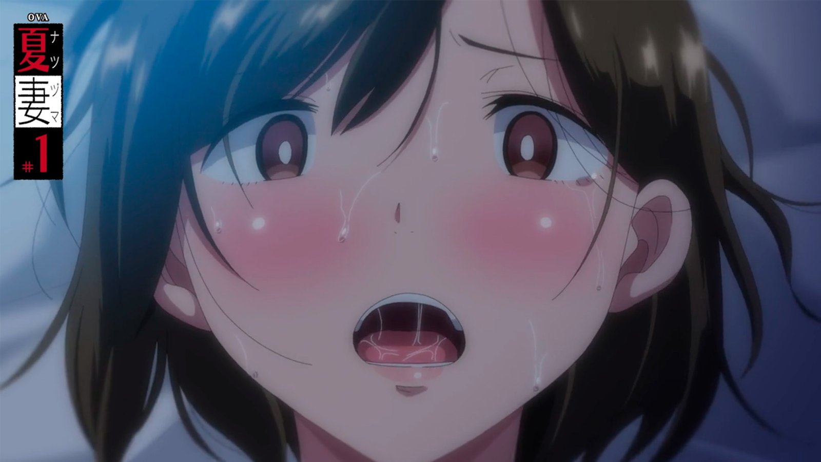 Housewife is Relentlessly Fucked in the Trailers for Natsuzuma