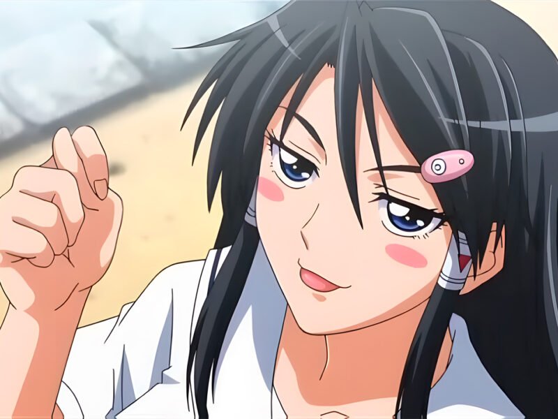 HHH: Triple Ecchi Celebrates Its 15th Anniversary